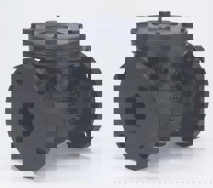 *NP 4 CI 125# FLG SWG CHK VLV